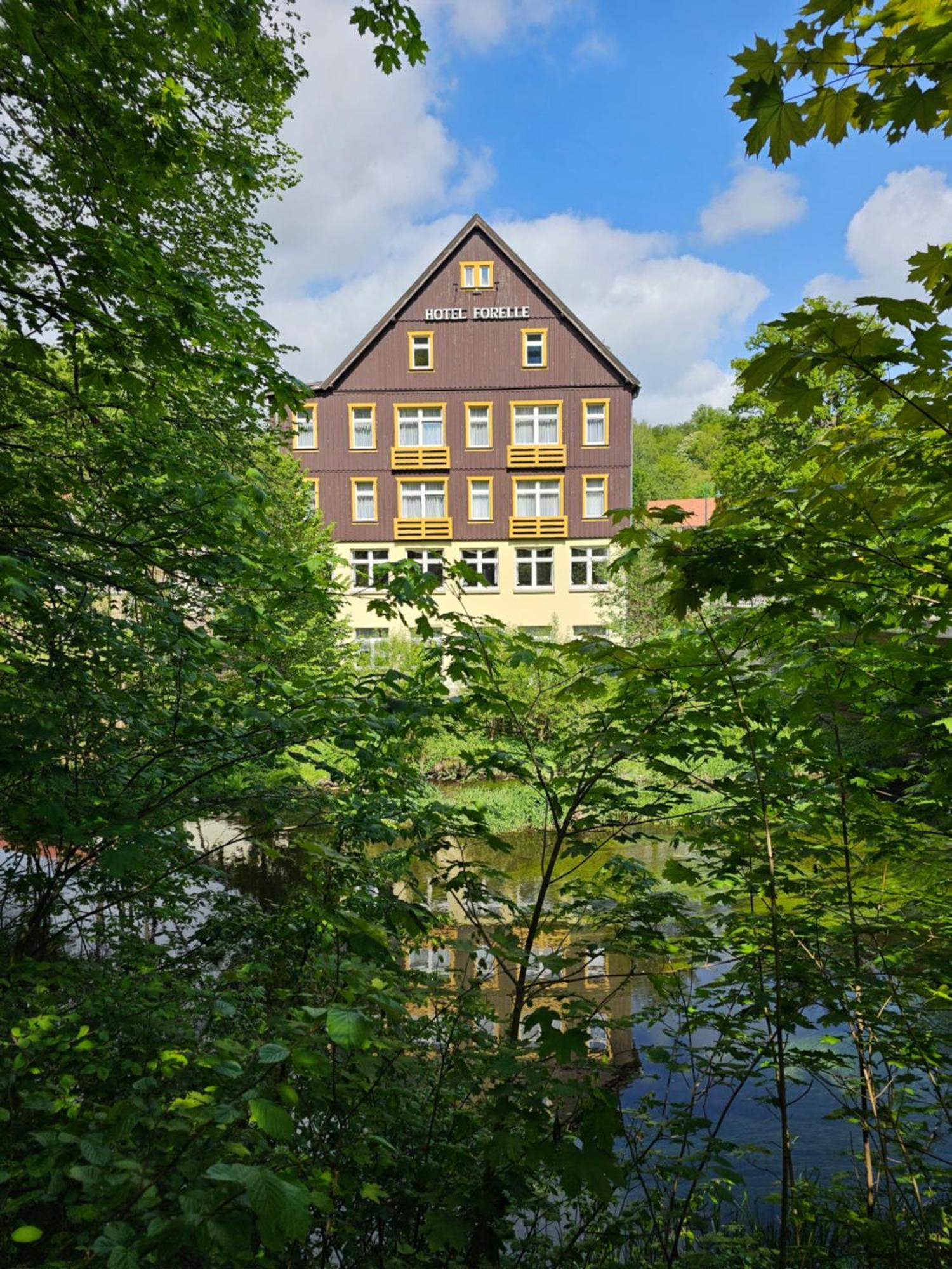 Greenline Ferienhotel Forelle Thale Dış mekan fotoğraf